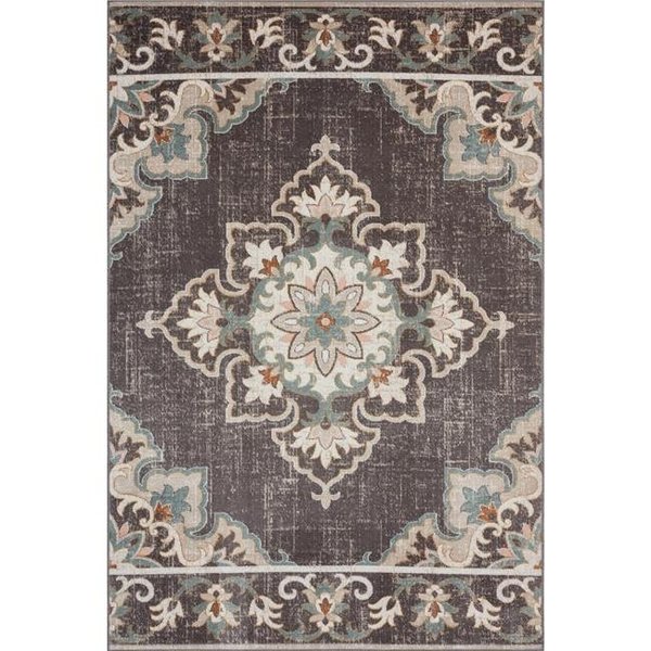 Lr Resources LR Resources ANTIQ81462BWE537A Rustic Transitional Medallion Woven Indoor & Outdoor Rectangle Area Rug ANTIQ81462BWE537A